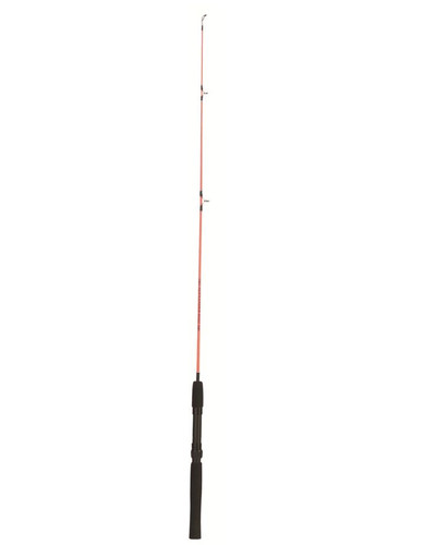 Canna alexander 50m 50g - canna, 30/50g