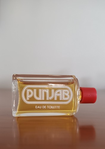 Punjab vintage roberto capucci - punjab,