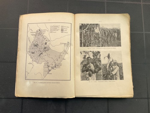 Testo agraria coloniale di - testo,