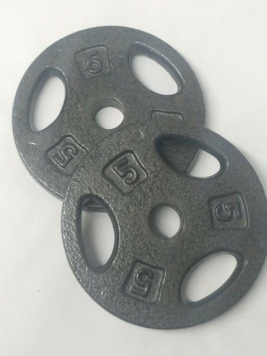 Lotto pesi piastra 5 - di,