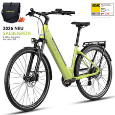 DERUIZ Bici Elettrica City 28