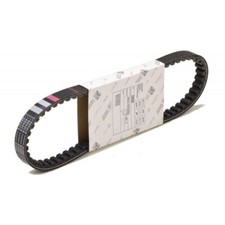 830488 CINGHIA VARIATORE