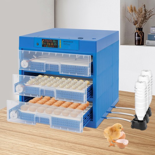 Incubatrice per uova 150 180 - uova, 150-180