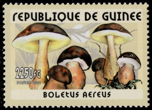 Repubblica della guinea 3456a - repubblica,