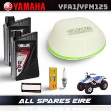 Yamaha Raptor YFM125R 125cc