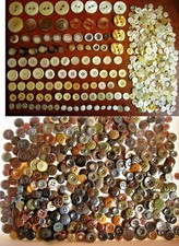 Bottoni vari madre - -,