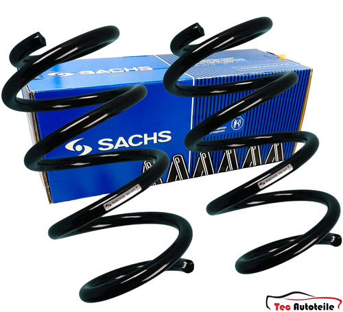 Molle sachs anteriori - 2,