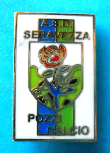 Distintivo spilla pin badge - distintivo,