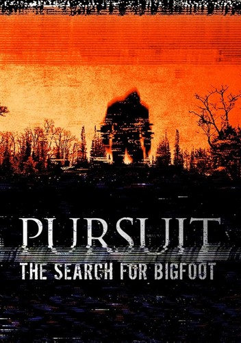 Pursuit the search - the,