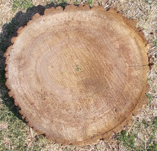 Fetta legno duro noce 5 - legno,