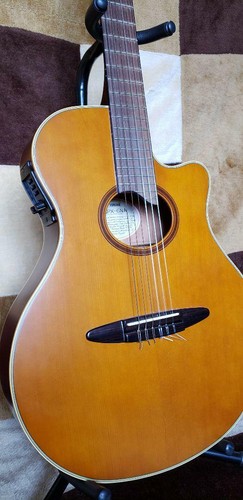 Chitarra elettrica