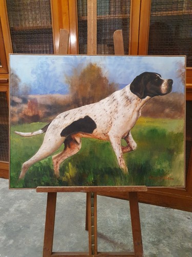 Antonio sole cane da caccia - da,