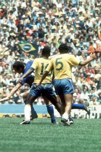 World cup final brazil pele - cup,