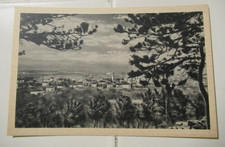 TRIESTE - Poggioreale (Villa Opicina) Panorama-Ed. A. Cadel - Trieste