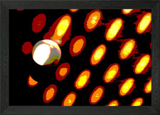 Quadro stampa su tela poster