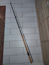 Canna da Pesca Legering Champion in Carbonio  DAIWA  10 Passanti - 3 MT.