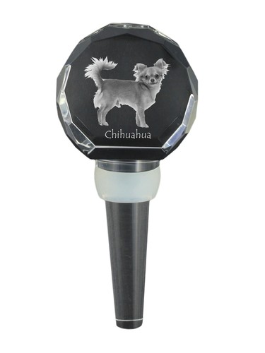 Chihuahua pelo corto - corto,