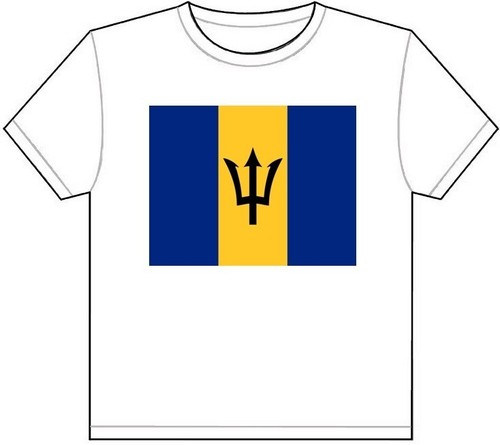 Barbados bandiera del - del, paese