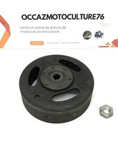 Volante Magnetico Per Motosega