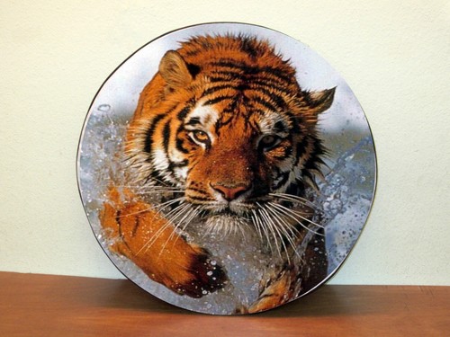 Copriruota scorta tiger2 - scorta,