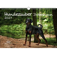 Magia per cani Dobermann DIN
