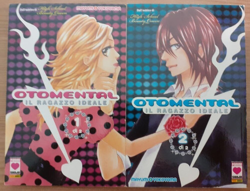 Otomental ragazzo ideale - il,