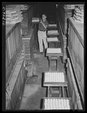 Petaluma California 1942