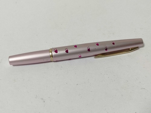 Rara penna stilografica