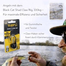 Black Cat Wels Rig pesce in