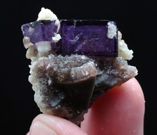 11.2g Rare Transparent Purple