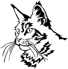 Adesivo MAINE COON - sticker -