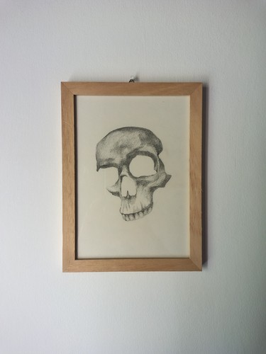 Quadro disegno teschio - quadro,