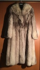 Bellissima Pelliccia Di Volpe