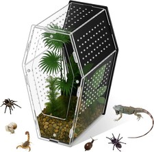 Habitat ragno saltante