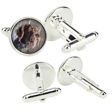 Deutsch Drahthaar Pulsante Per