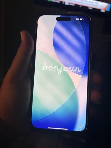 Apple iphone promax 256 - 15,