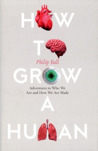 How grow human - to,