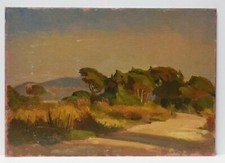 Painting Picture DIPINTO OLIO SU cartone telato FERRUCCIO MATARESI  1950