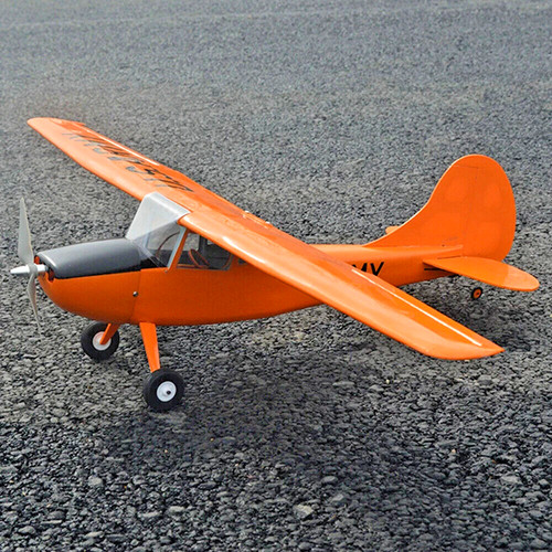 Tony ray cessna bird dog - ray, l-19