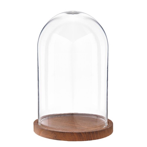 Espositore vetro cloche - vetro,