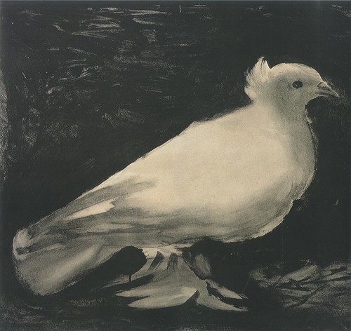 Colomba pablo picasso 1949 - la,