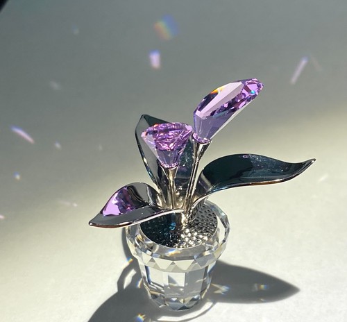 Swarovski calla gigli lilla - swarovski,