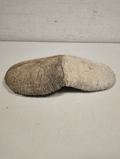 Corallo Fungo Scheletro di