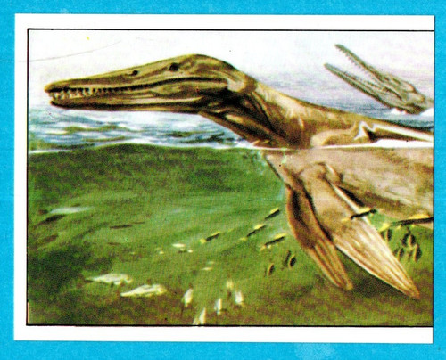 DINOSAURS/ANIMALI