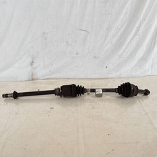 51934087 Semialbero ant