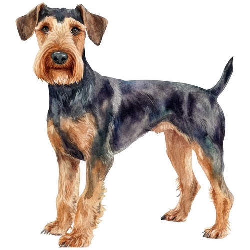 Adesivi airedale terrier - 3,