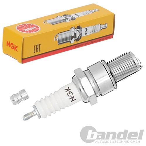Candela ngk adatta per - ngk, alfa