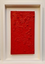 Bernard Aubertin Monocromo