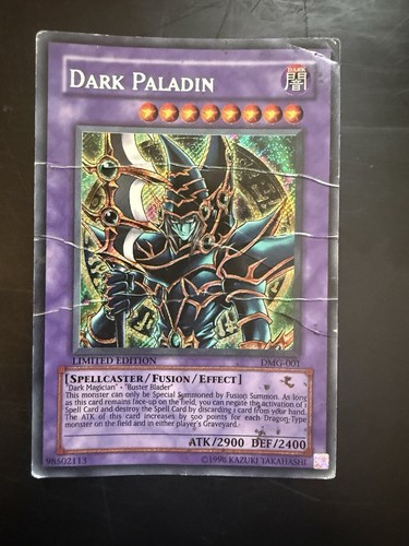 Dark paladin - dark,