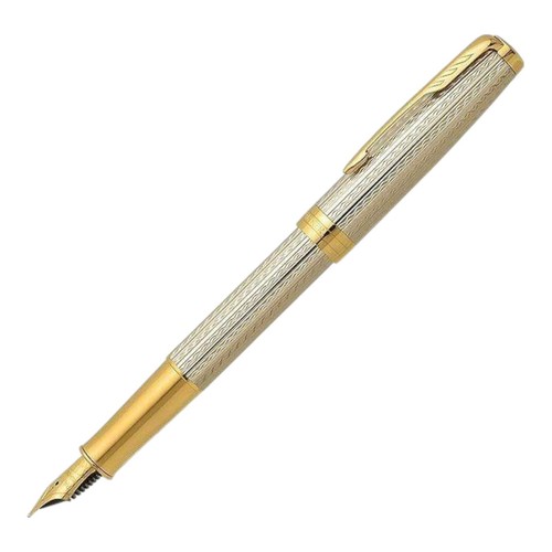 Penna stilografica parker - stilografica,
